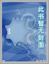 霸婿崛起