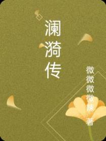 澜漪传