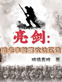 亮剑：咱老李就喜欢边区造