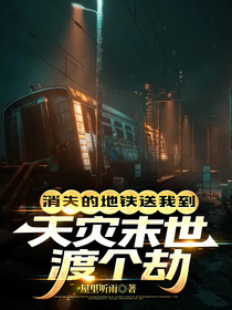 消失的地铁带我到天灾末世渡个