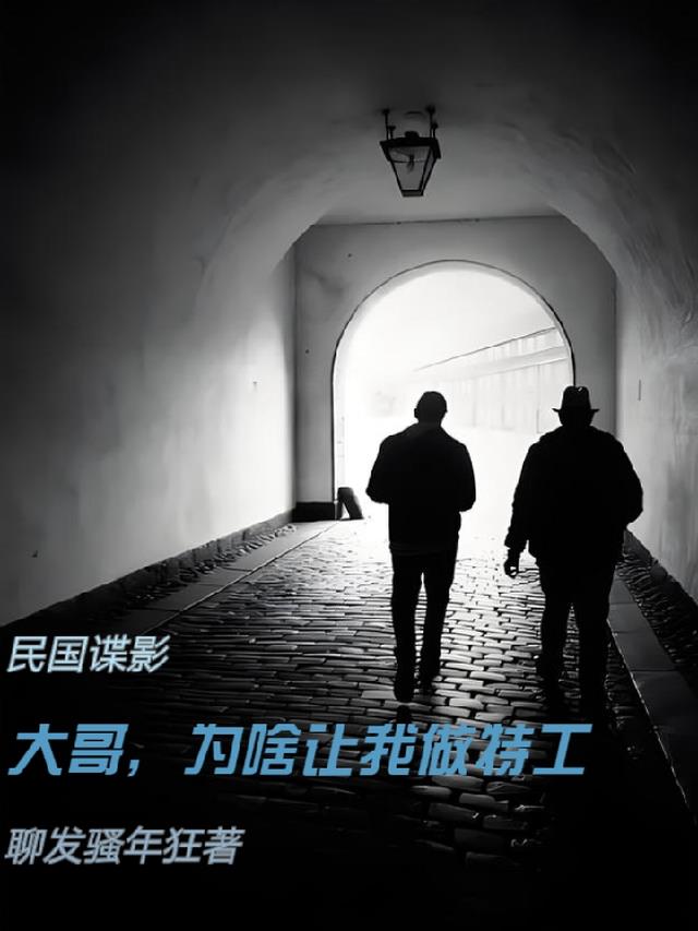 民国谍影：大哥，为啥让我做特工