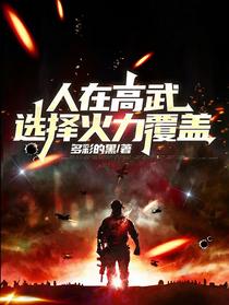 人在高武，选择火力覆盖