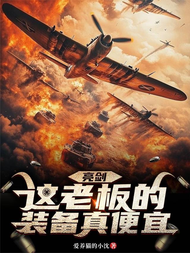 亮剑：这老板的装备真便宜！