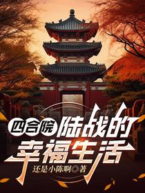 四合院：陆战的幸福生活