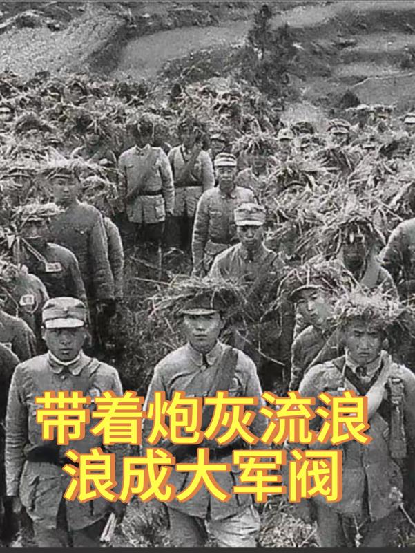 带着炮灰流浪：浪成大军阀
