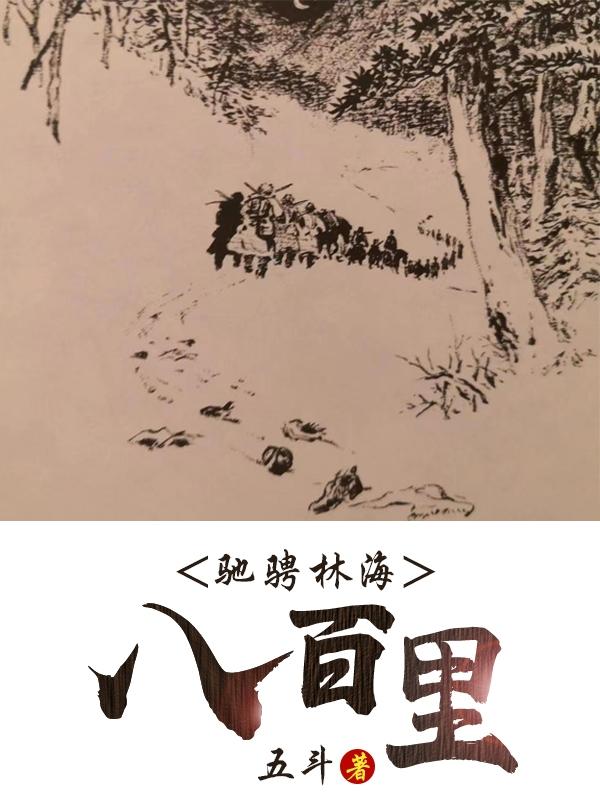 驰骋林海八百里