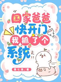 国家爸爸快开门，我抓了个系统